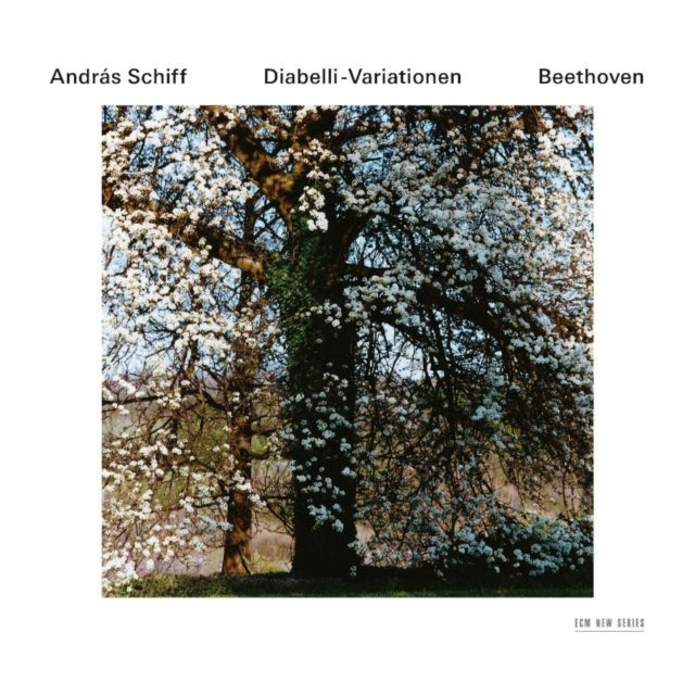 Beethoven/diabelli-variationen