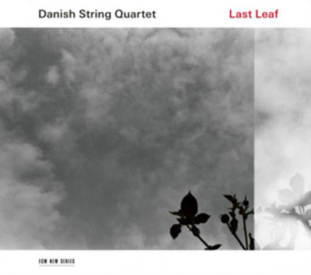 Lost Leaf