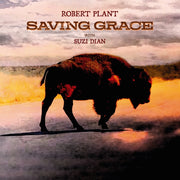 Saving Grace Fruit Punch Vinyl Indies