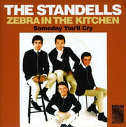 Zebra In The Kitchen / Someday
