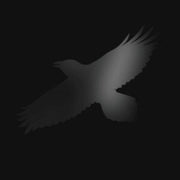 Odins Raven Magic With Steindor Andersen