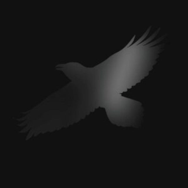 Odins Raven Magic With Steindor Andersen