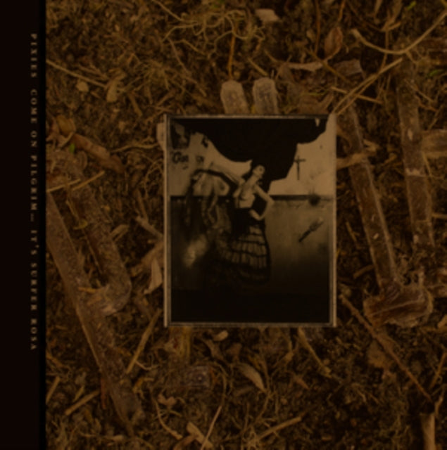 Come On Pilgrim Its Surfer Rosa