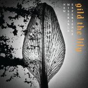 Gild The Lily