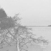 Kalmonsaie