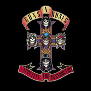 Appetite For Destruction Remastered Edit