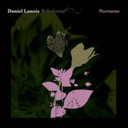 Belladonna Nocturne