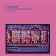 Computer Experiments - Vol 1