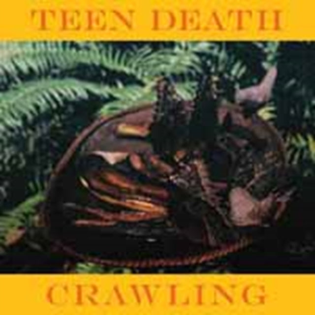 Crawling