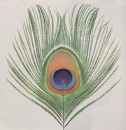 Wasp Star Apple Venus Vol. 1