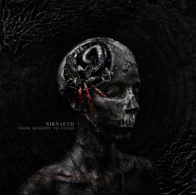 From Shadow To Flesh