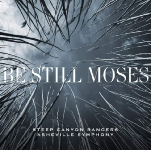 Be Still Moses First Edition Transparent
