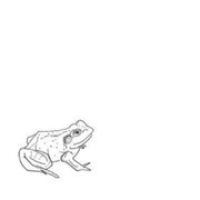 Bull Frogs Croon And Other Songs