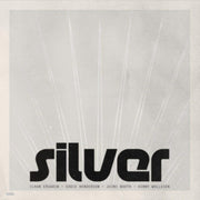 Silver Coloured Vinyl