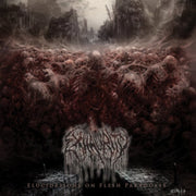 Elucidations On Flesh Paradoxes