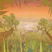 Mirage On The Meadow