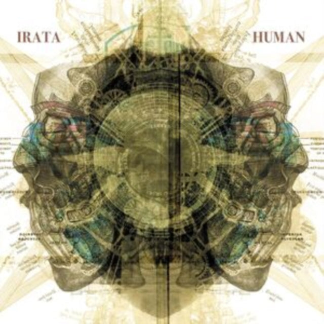 Human
