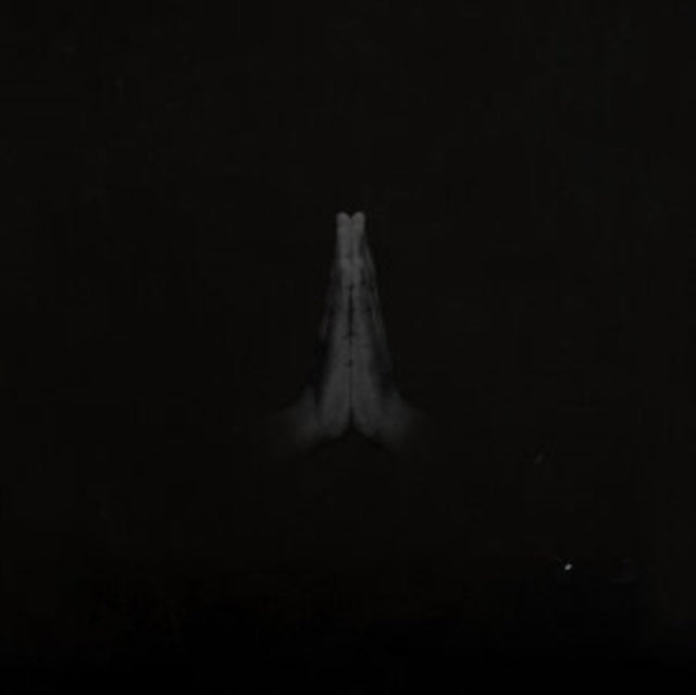 Untitled Rise