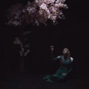 As The Light Left