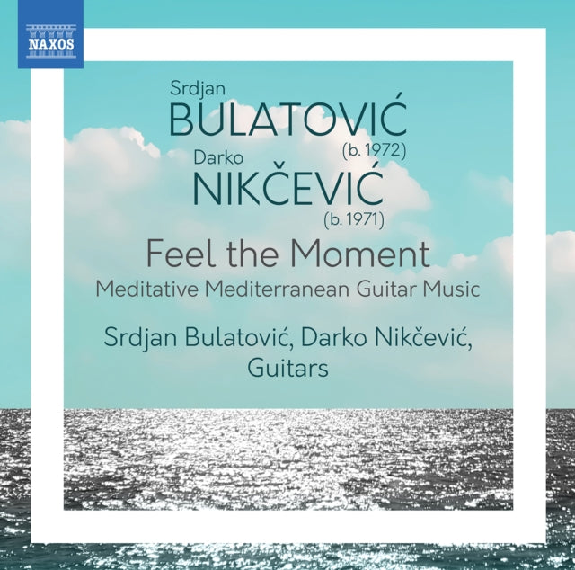 Srdjan Bulatovic / Darko Nikcevic Feel T