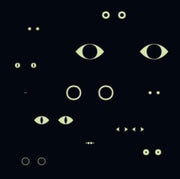 Animal Universe