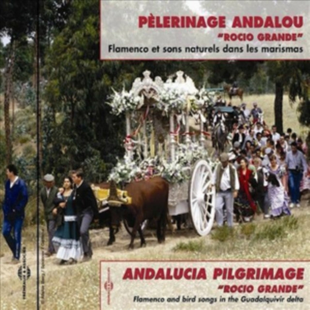 Flamenco Et Sons Naturels Dans Les Maris