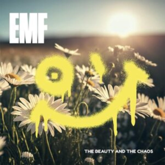 The Beauty And The Chaos