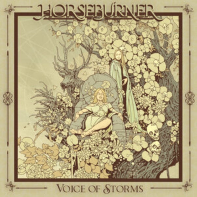 Voice Of Storms