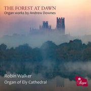The Forest At Dawn