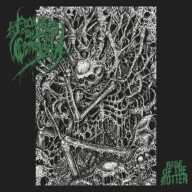 Rise Of The Rotten