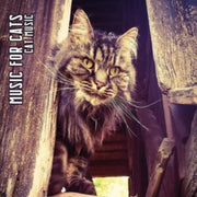 Cat Music Limited Edition Digi