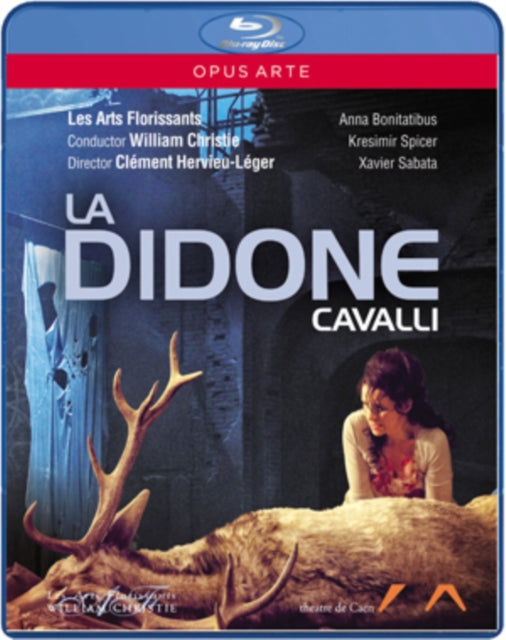 Cavallila Didone