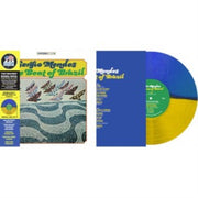 The Beat Of Brazil Yellow/blue Bicolour