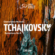 Tchaikovsky Symphony No. 6 - Mussorgsky