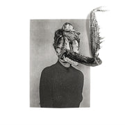 Mantiis - An Agony In Fourteen Bites