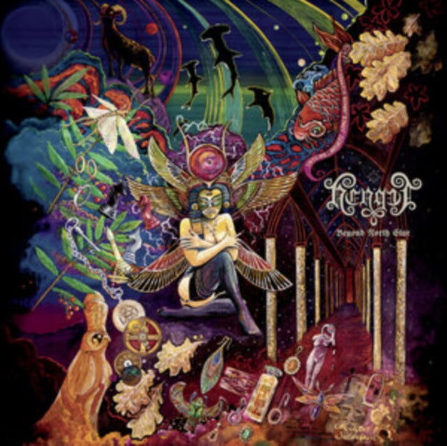 Beyond North Star Limited Edition Digi