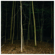 Fixed Rope Ii