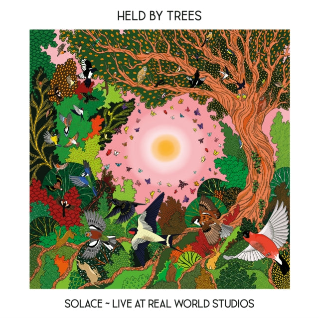 Solace - Live From Real World Studios