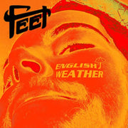 English Weather Picture Disc