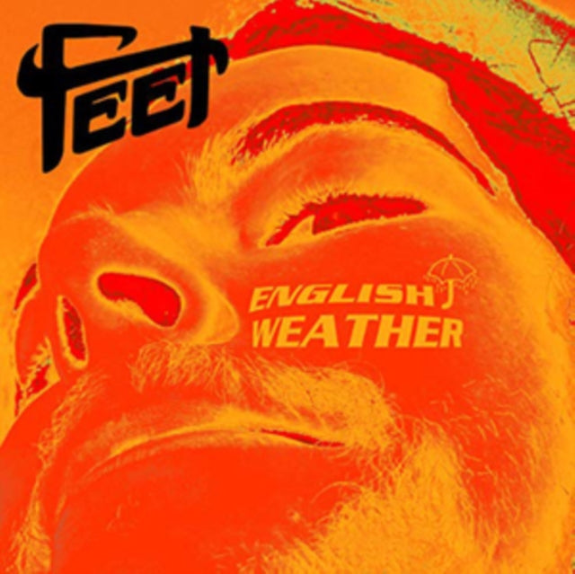 English Weather Picture Disc