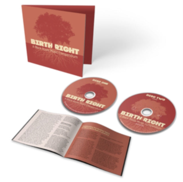 Birthright A Black Roots Music Compendiu