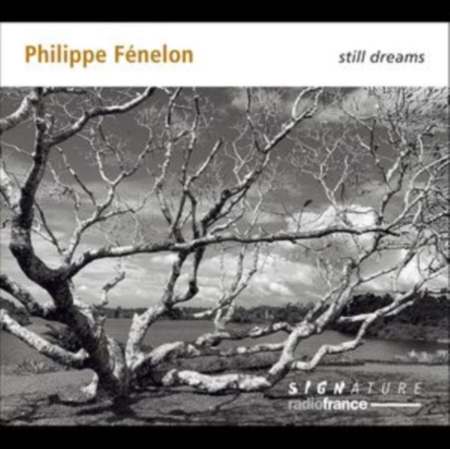 Philippe Fenelon Still Dreams
