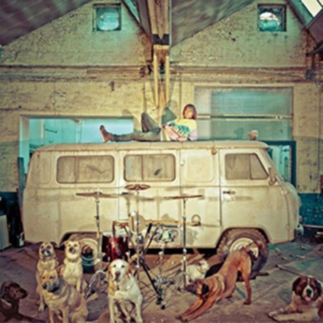 Chien Dla Casse
