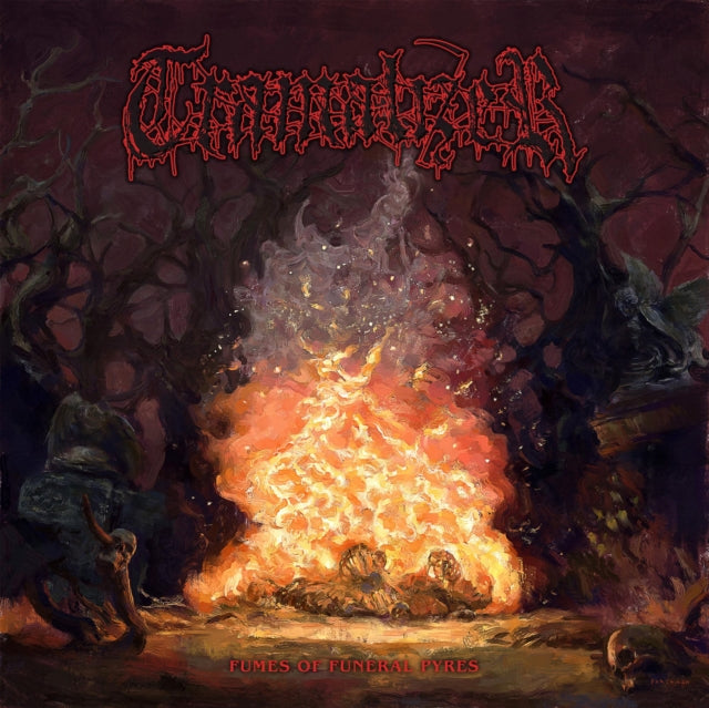 Fumes Of Funeral Pyres Limited Edition T