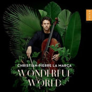 Wonderful World