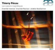 Thierry Pecou Les Liaisons Magnetiques