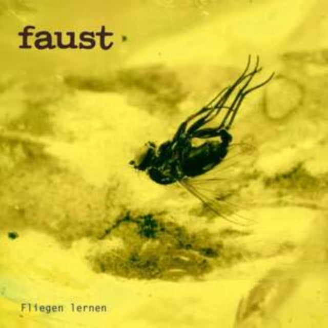 Fliegen Lernen Curated By Gunther Wustho