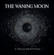 A Dream Or A Vision