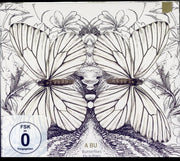 Butterflies Fly In Pairs