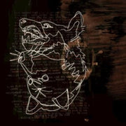 Holding A Wolf By The Ears Limited Editi